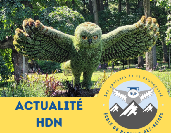 Nouvelles de nos jeunes de l'école de Harfang-des-Neiges